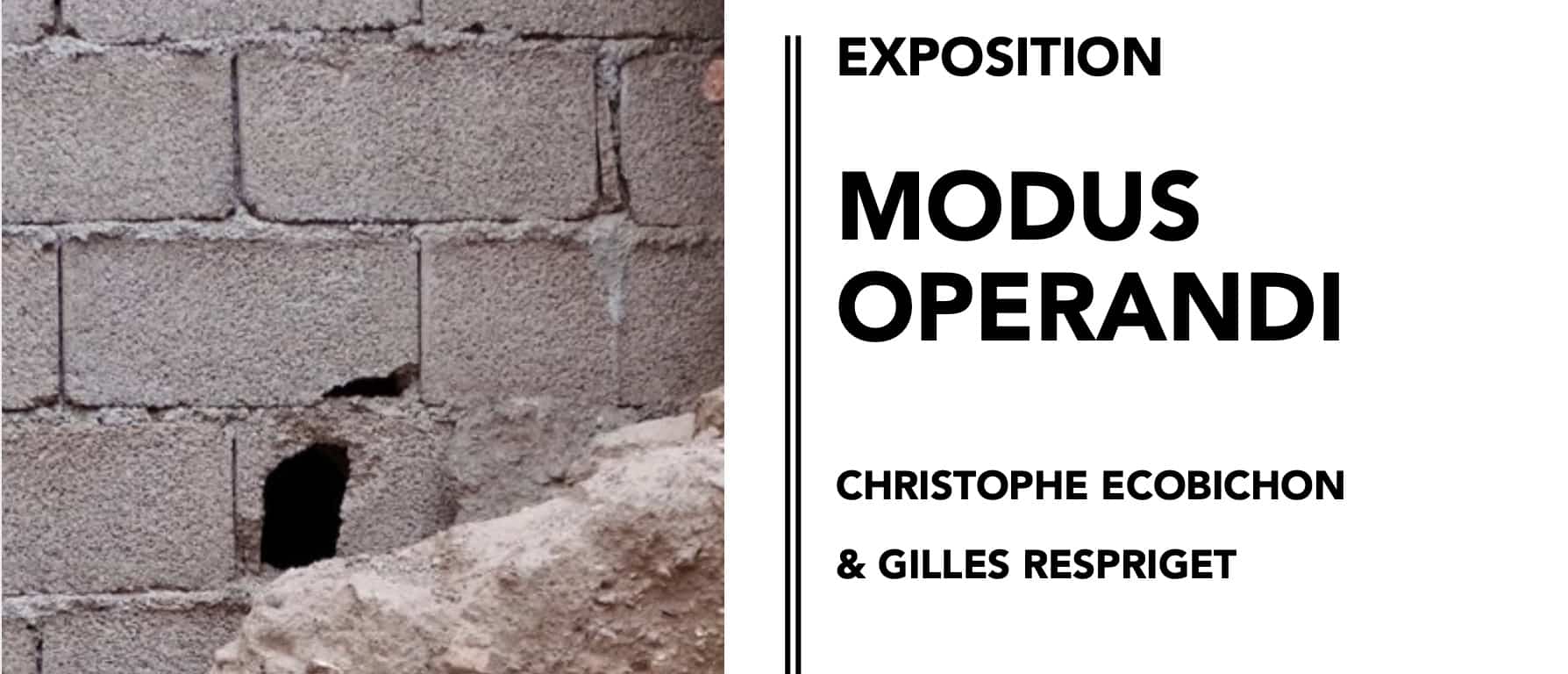 RENNES. EXPOSITION MODUS OPERANDI DE CHRISTOPHE ECOBICHON ET GILLES RESPRIGET LE 22 MAI
