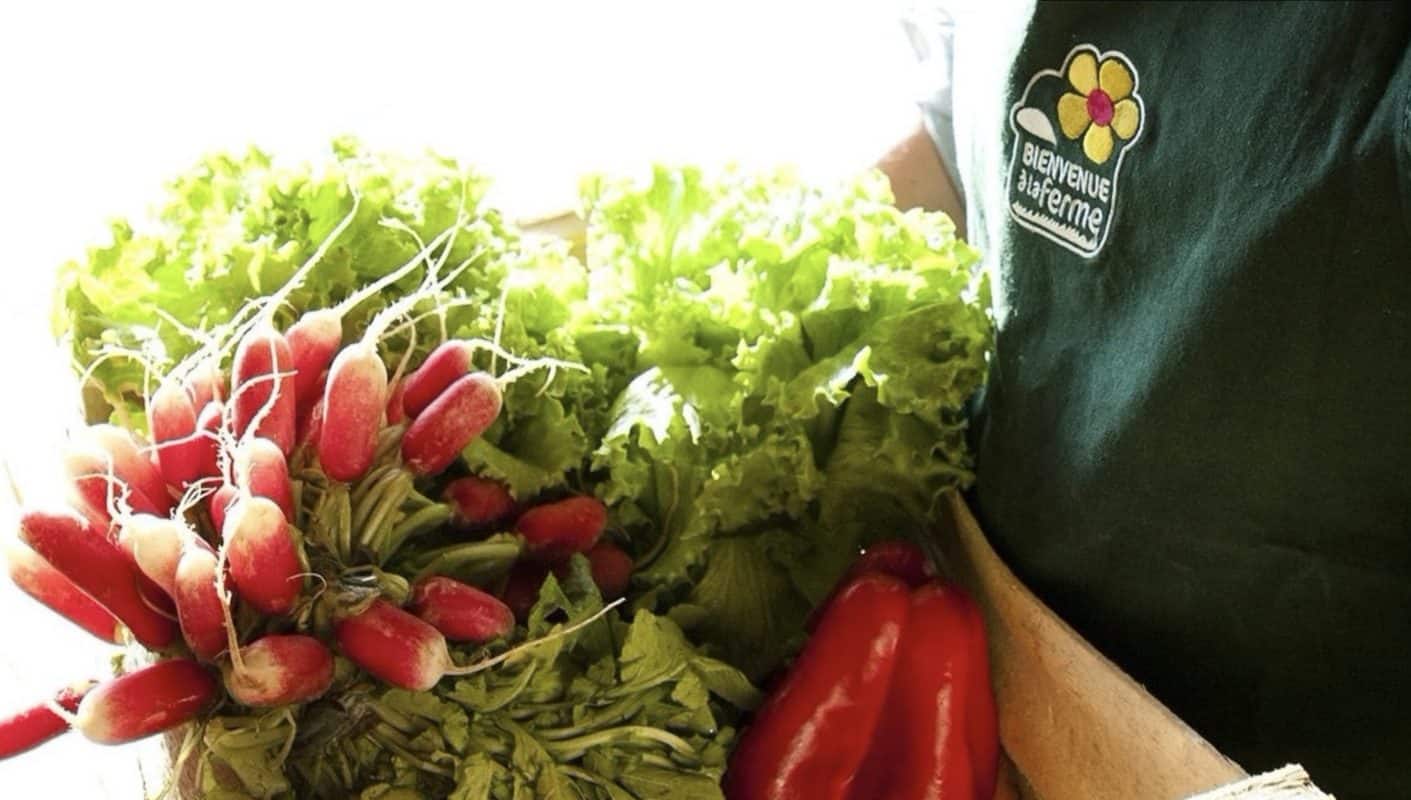 ILLE-ET-VILAINE. COMMANDEZ EN LIGNE VOS PRODUITS FERMIERS