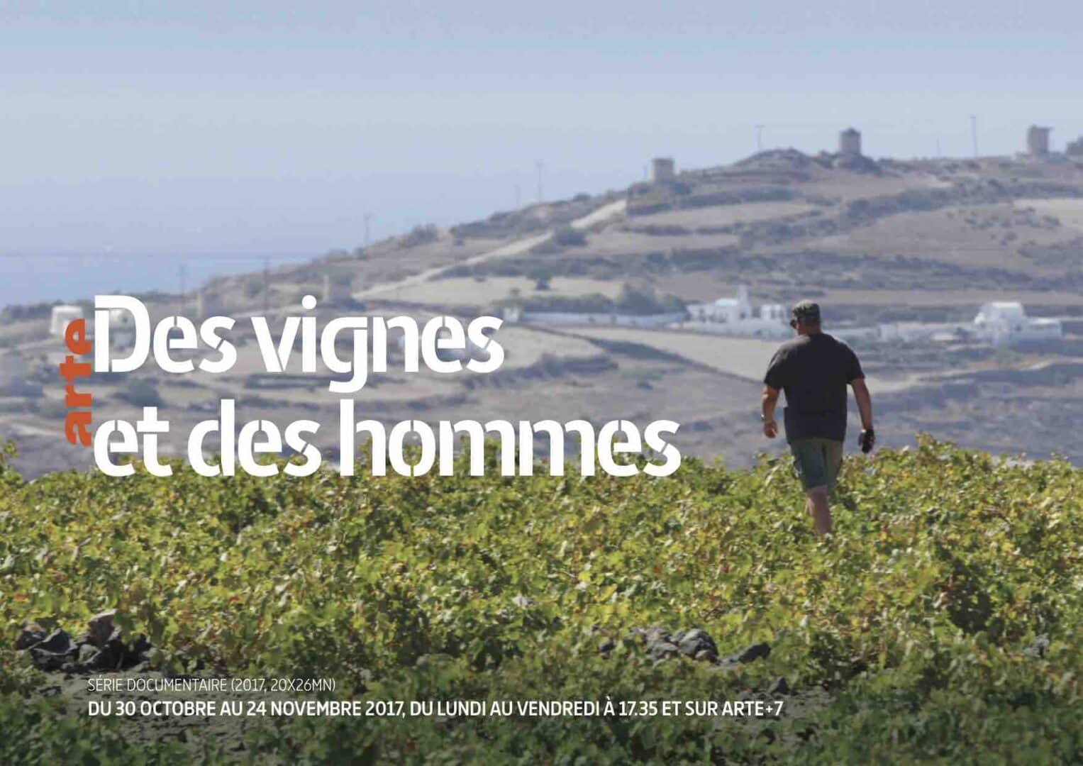 DES VIGNES ET DES HOMMES, LA CIVILISATION DU VIN