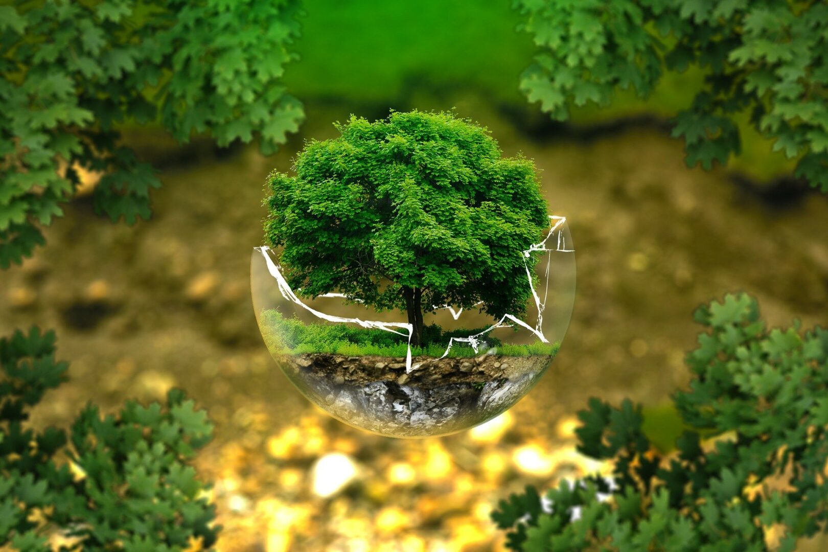RENNES MÉTROPOLE. UN PROJET DE RELANCE ÉCONOMIQUE ET TRANSITION ÉCOLOGIQUE