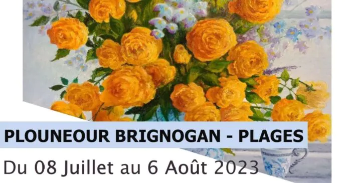 expo d'art et François Dilasser - Brignogan