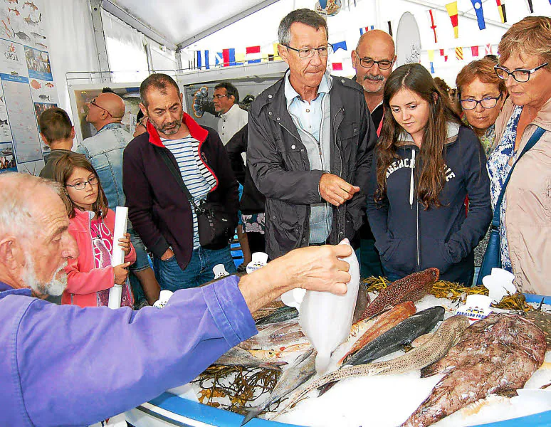 Festival Les Filets Bleus - Concarneau