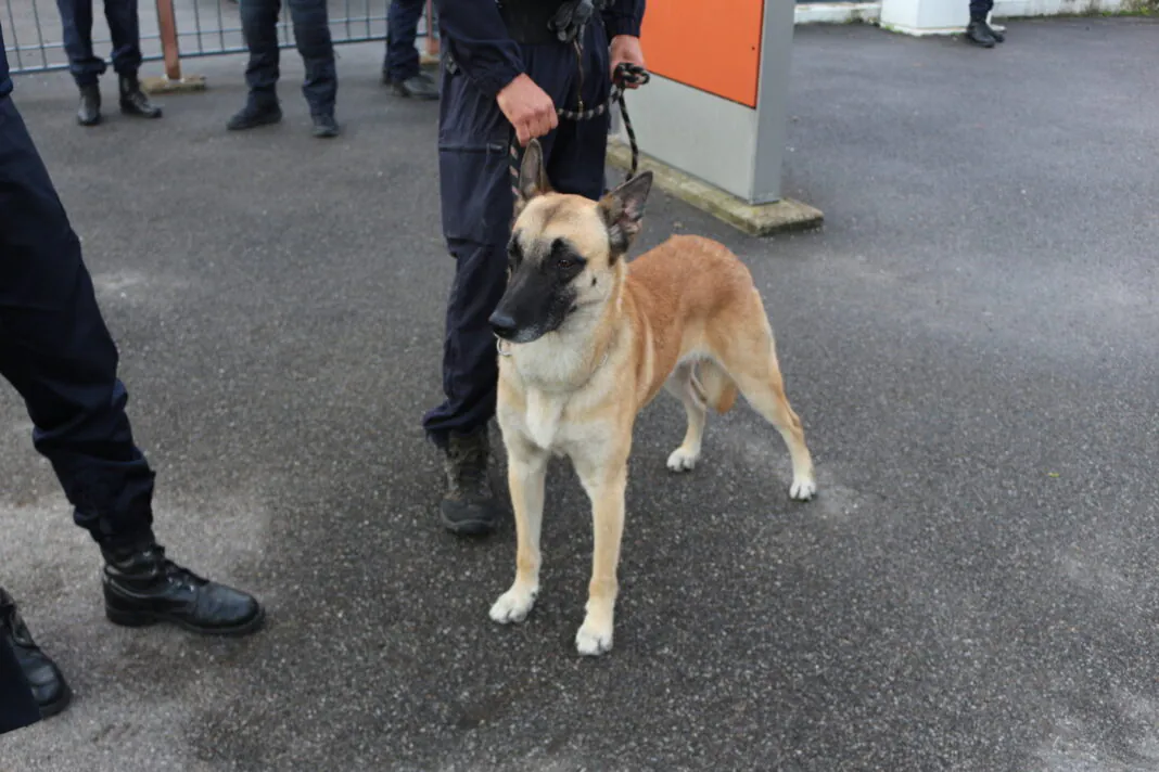 rennes police