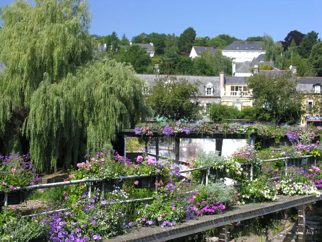 la route fleurie - sud Bretagne