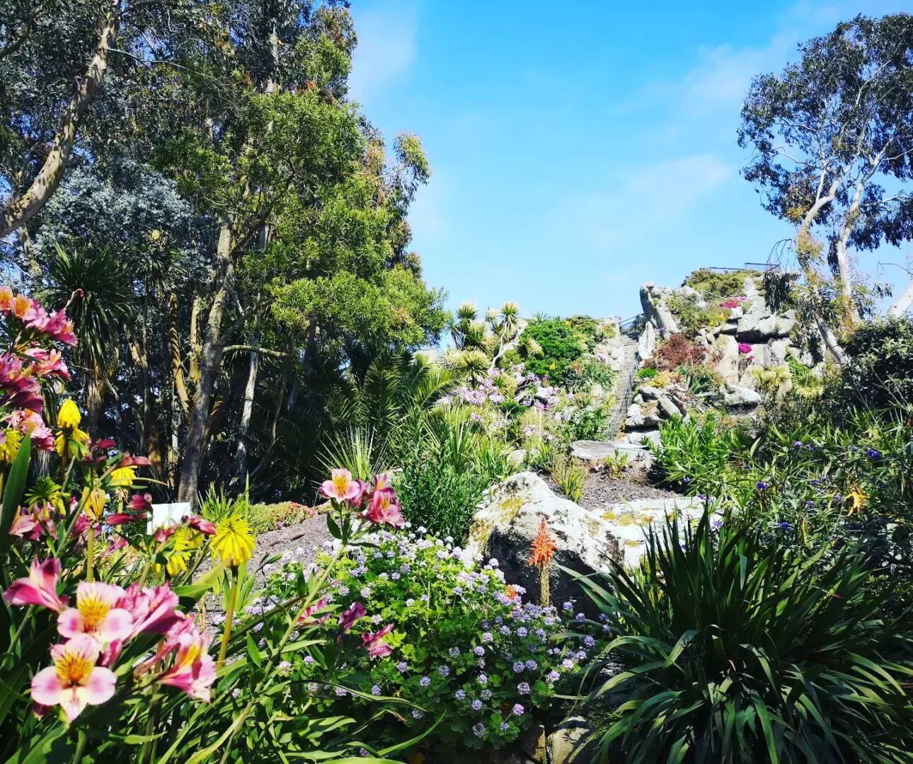 Jardin Exotique Botanique Roscoff