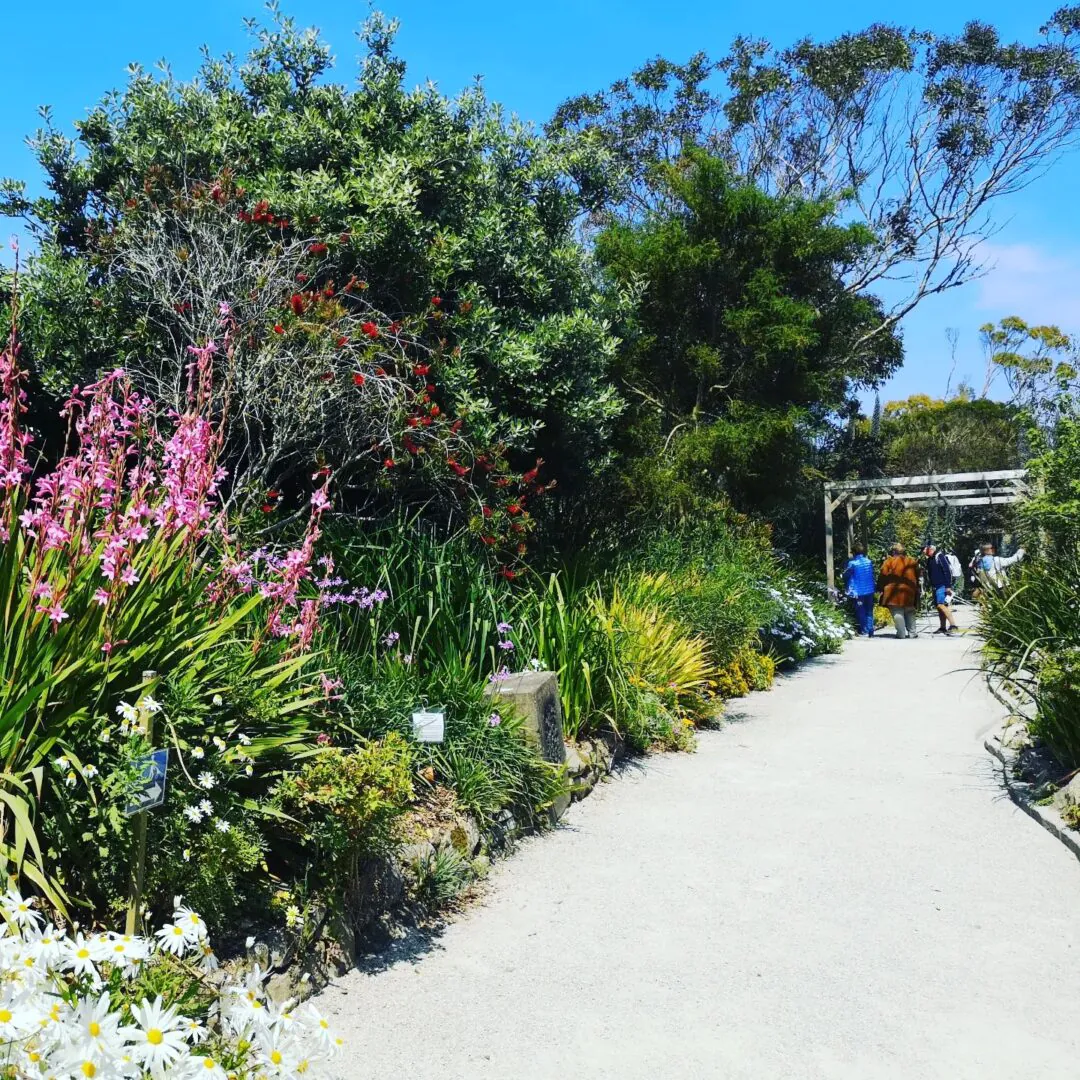 Jardin Exotique Botanique Roscoff