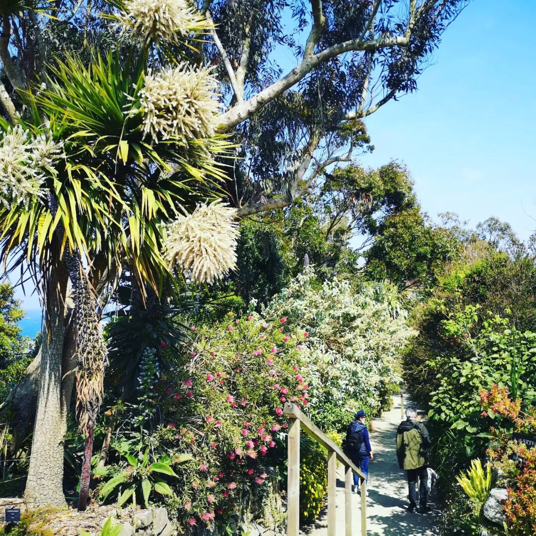 Jardin Exotique Botanique Roscoff