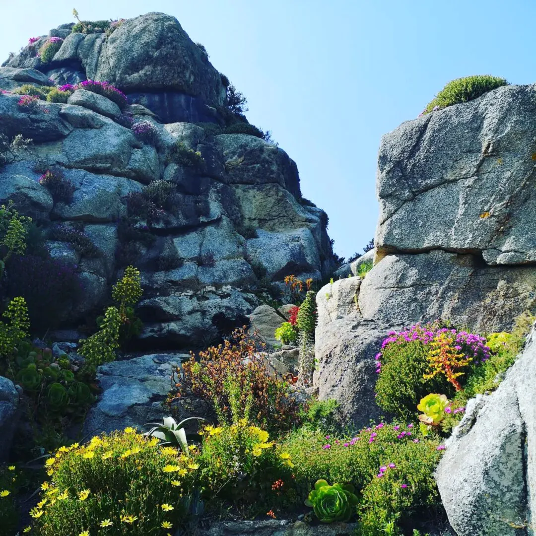 Jardin Exotique Botanique Roscoff