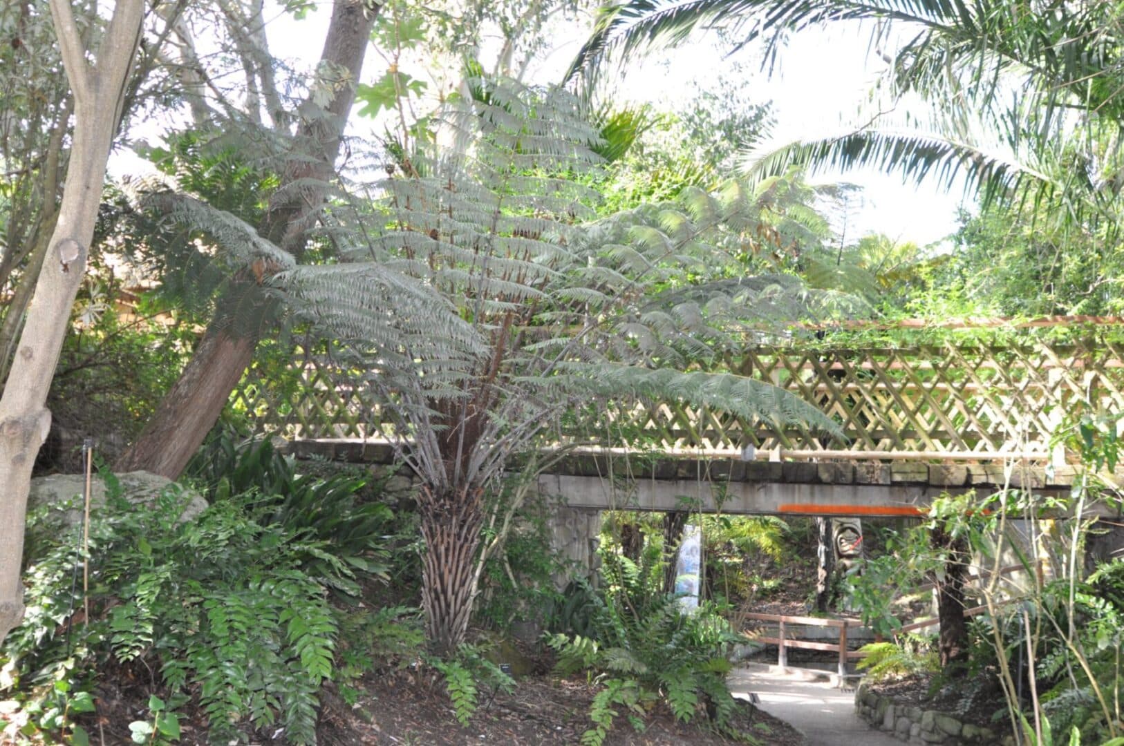 Jardin Exotique Botanique Roscoff