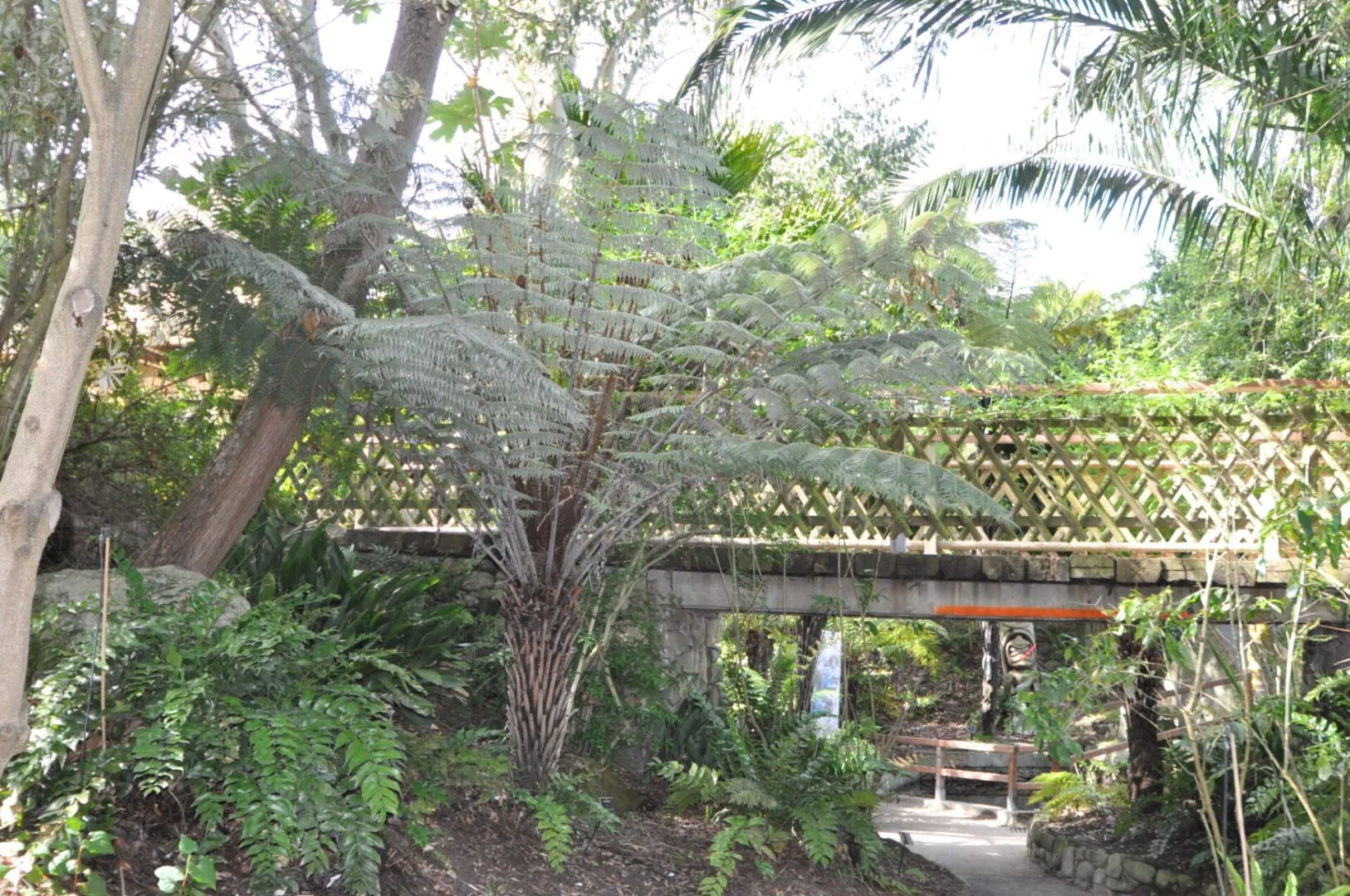 Jardin Exotique Botanique Roscoff