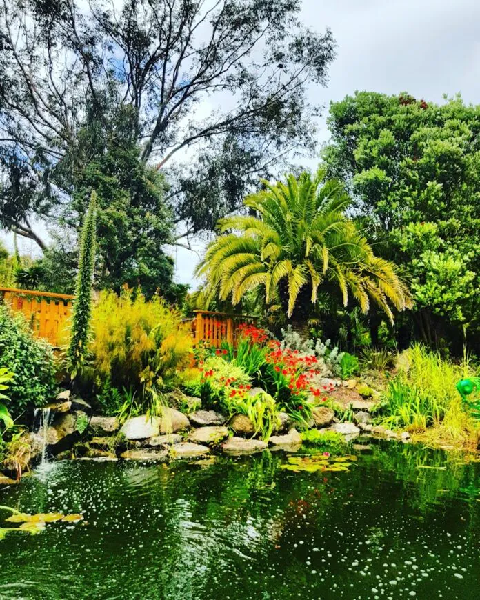 Le Jardin Exotique & Botanique de Roscoff