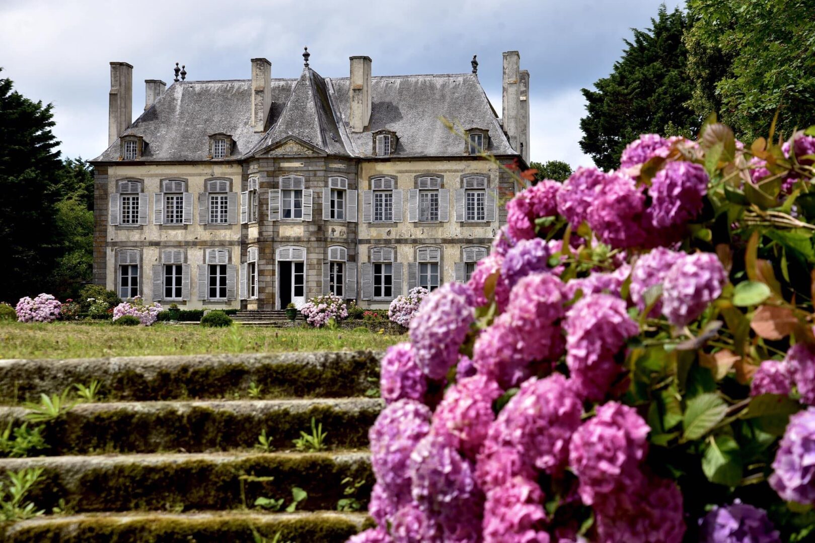 Initiation à l'observation des oiseaux des jardins, Saint-Malo (35) -  Bretagne Vivante