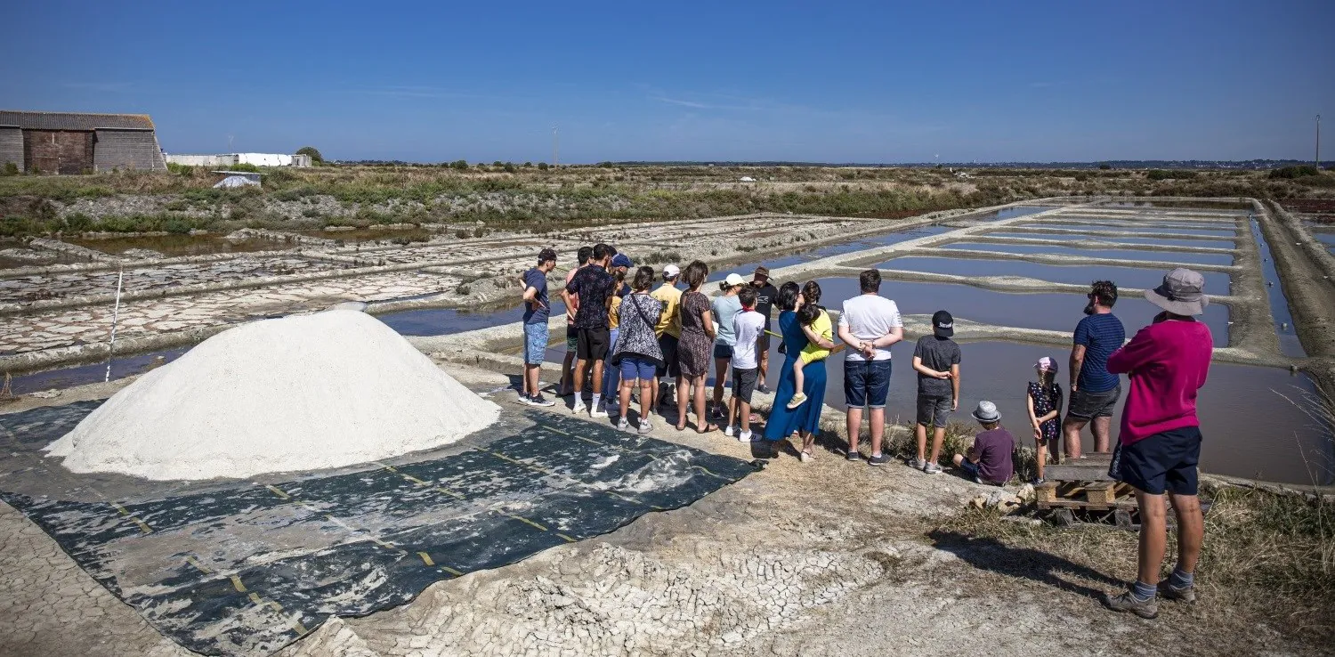 les marais salants 44