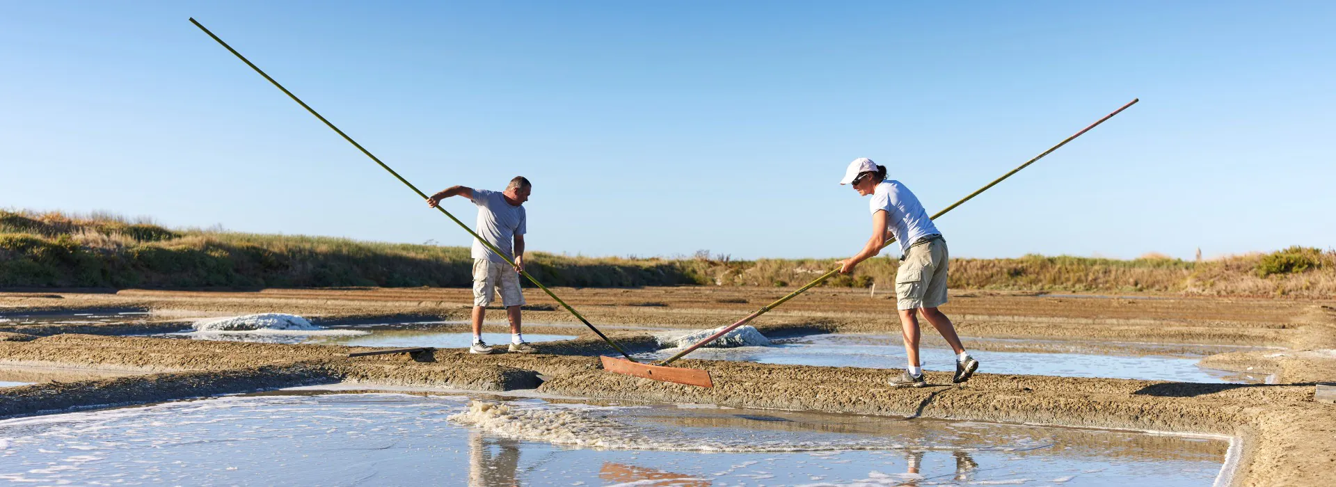 les marais salants 44 