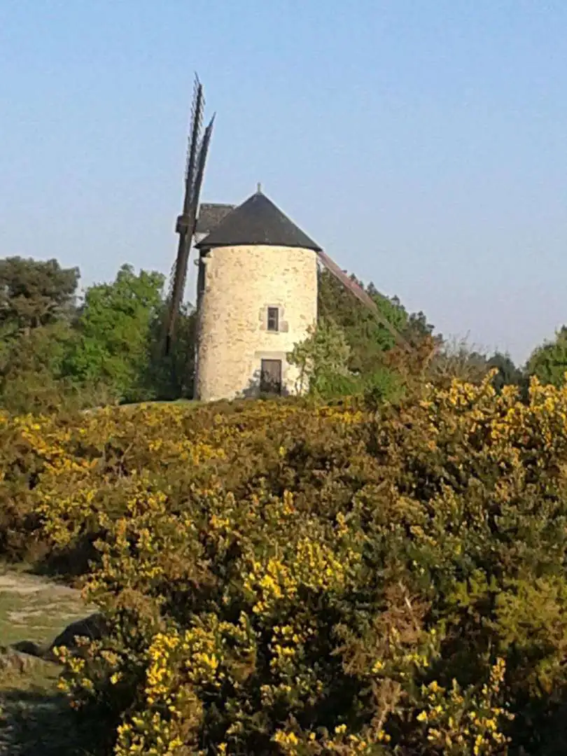 Les moulins de saint-jacut-les-pins