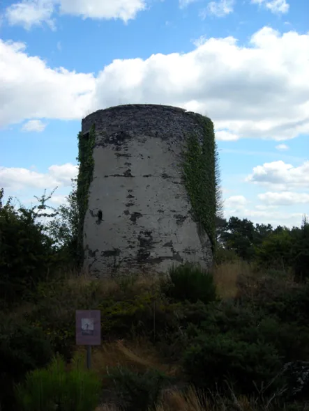 Les moulins de saint-jacut-les-pins