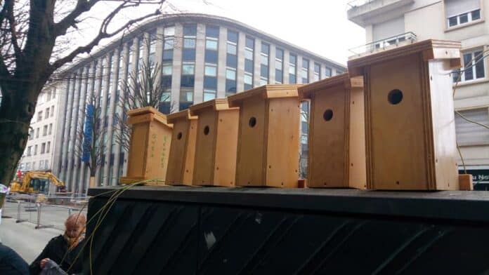 nichoirs-citoyens_rennes_nature-en-ville2