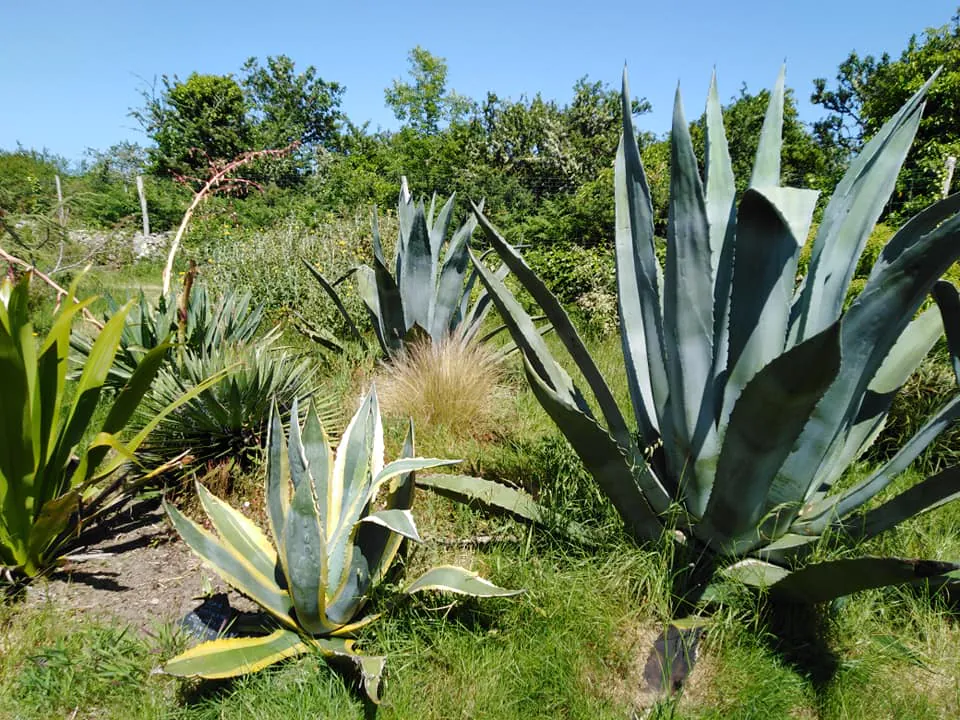 Parc botanique Ar Paeron