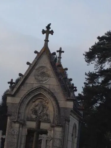 Au cimetière, le perroquet a perdu le Nord…