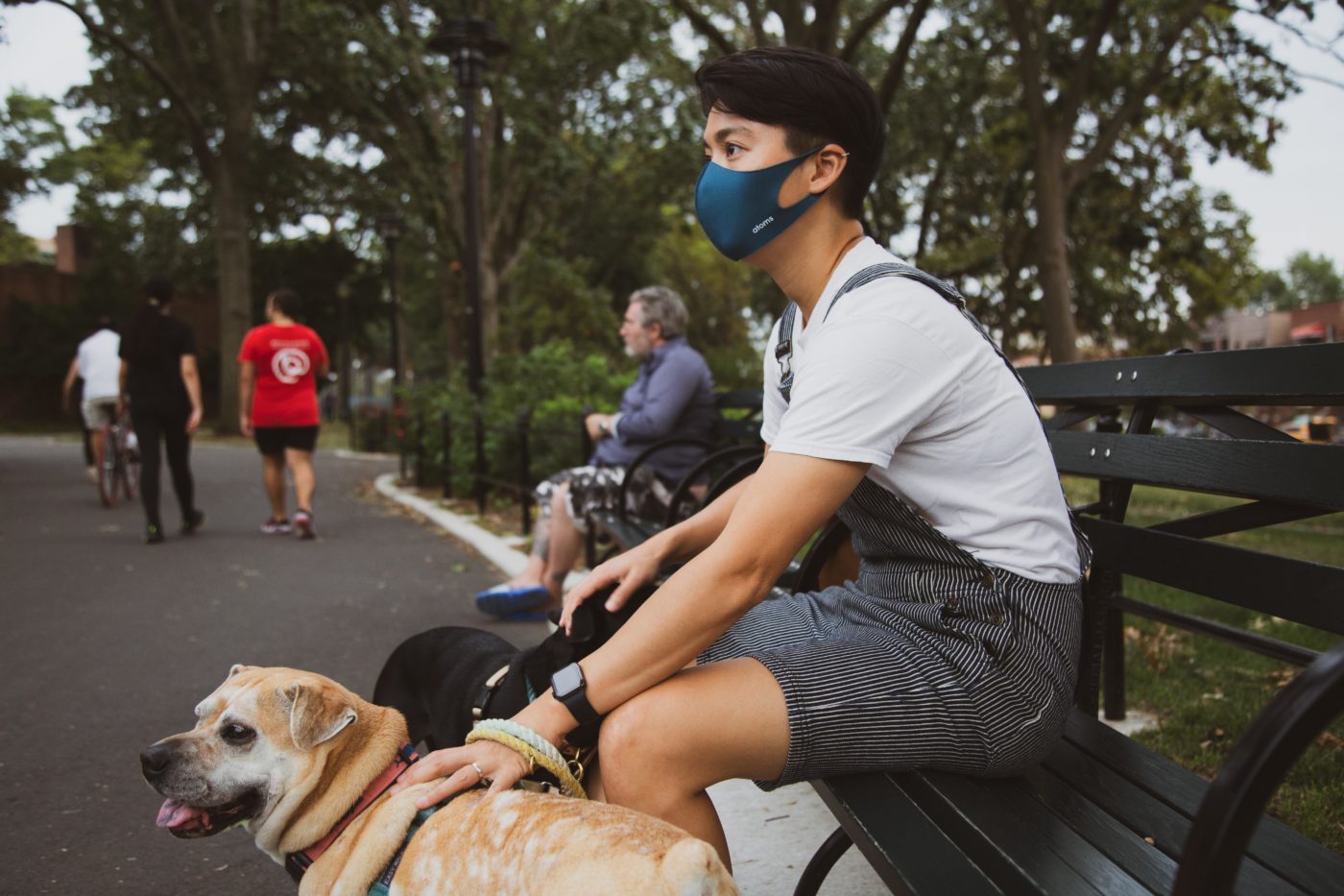 LES APPLIS DE GARDE D’ANIMAUX (PET-SITTING) DORLOTENT VOS ANIMAUX