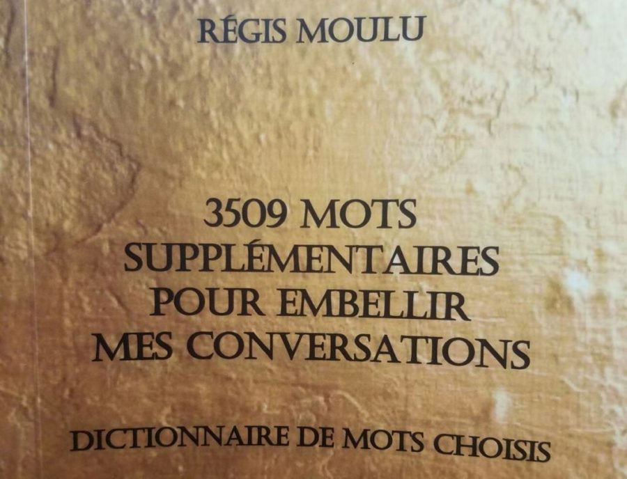 DICTIONNAIRE DE MOTS CHOISIS POUR EMBELLIR VOS CONVERSATIONS