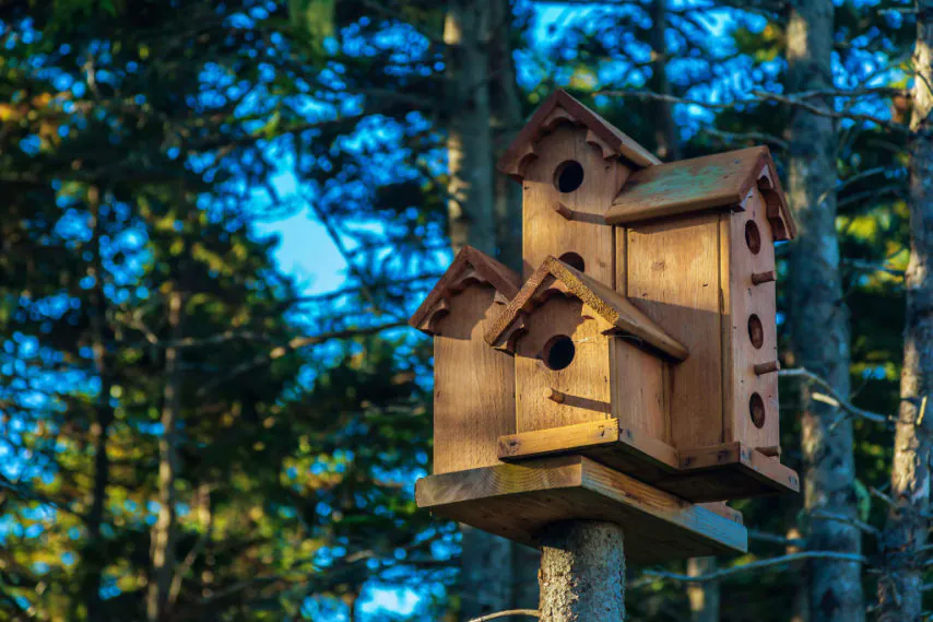 RENNES MUZ YER, 8 NICHOIRS D’OISEAUX AVEC KENGO KUMA