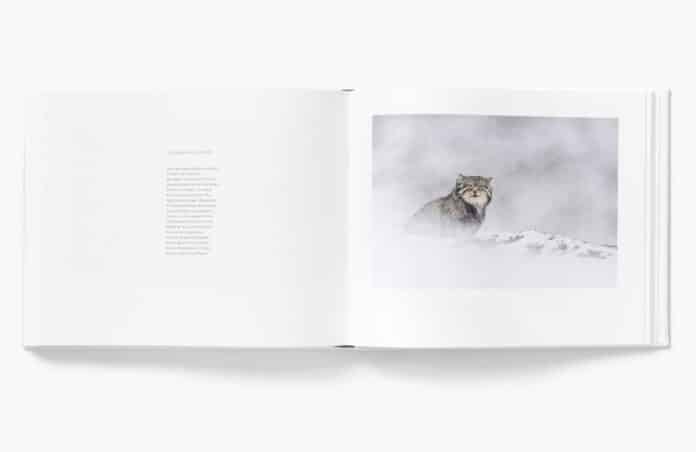 tibet-mineral-animal_vincent-munier