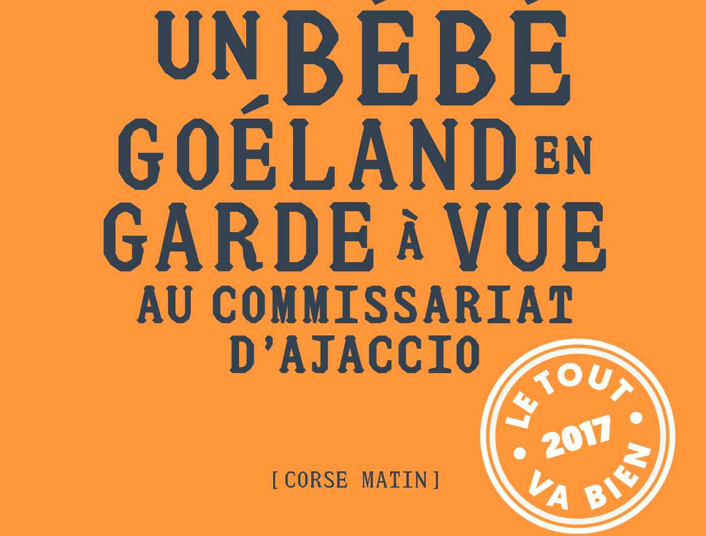 TOUT VA BIEN, UN BÉBÉ GOÉLAND EN GARDE À VUE À AJACCIO