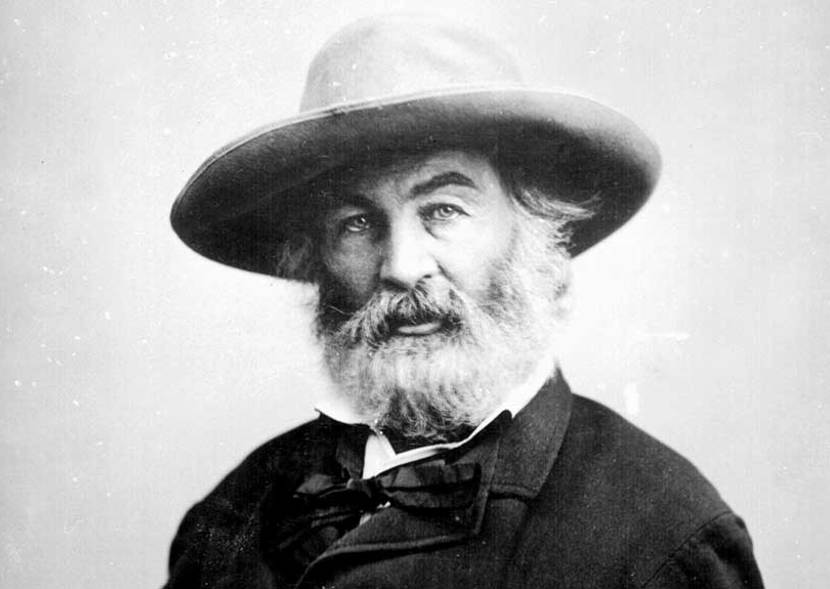 BARLEN PYAMOOTOO, QUAND WHITMAN REGARDE LA GUERRE