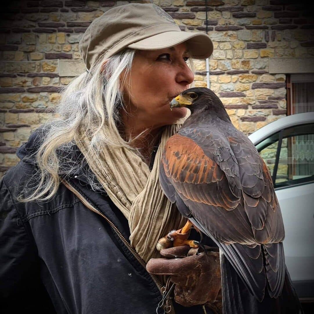 Château de Trécesson 