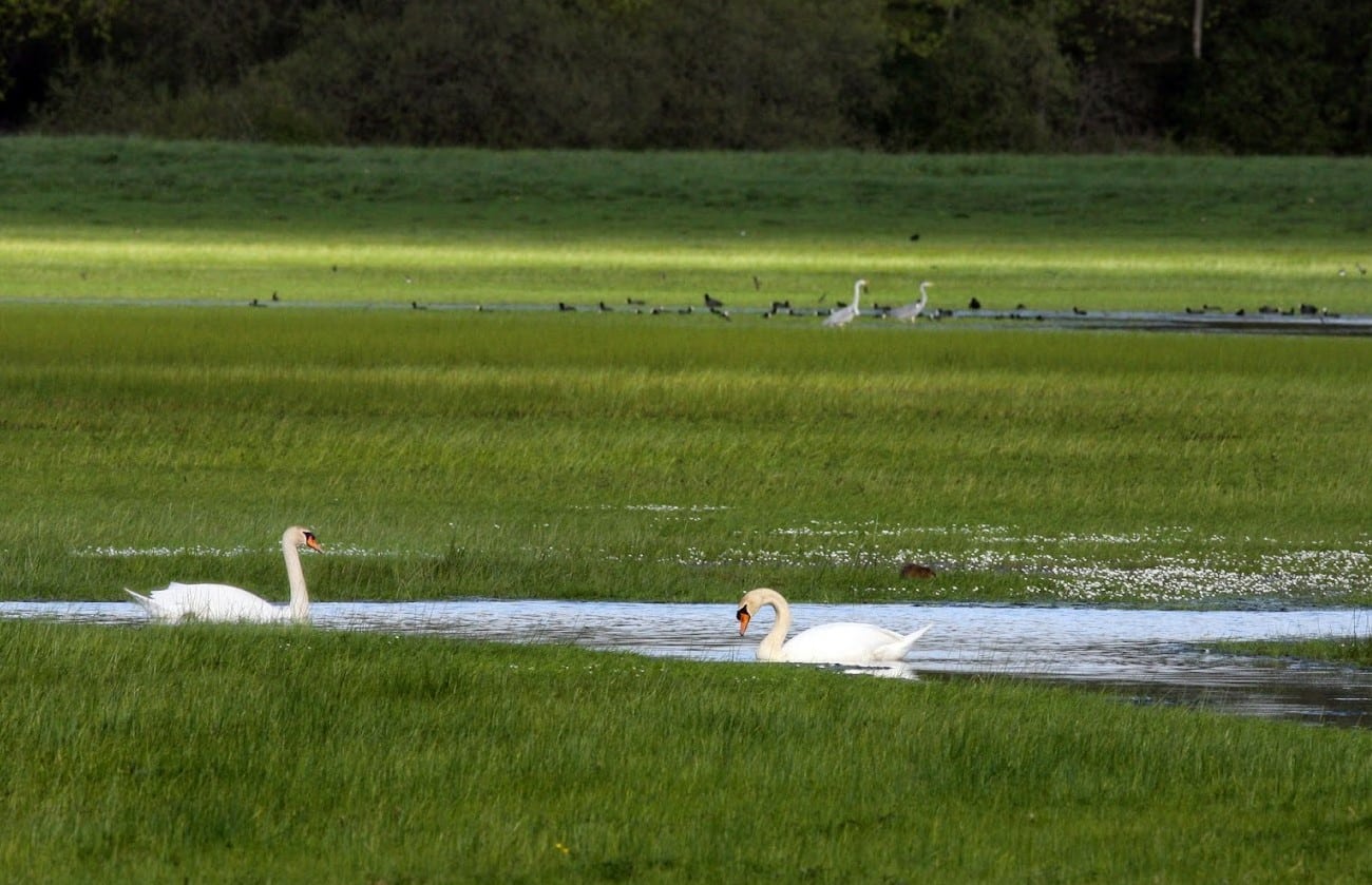 Le Marais de Sougéal