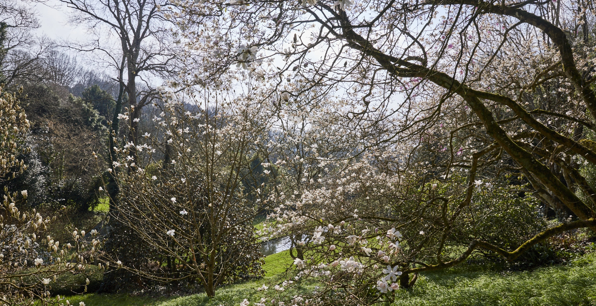 jardins kerdalo