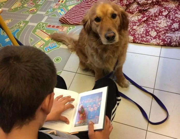 apprendre à lire avec un chien