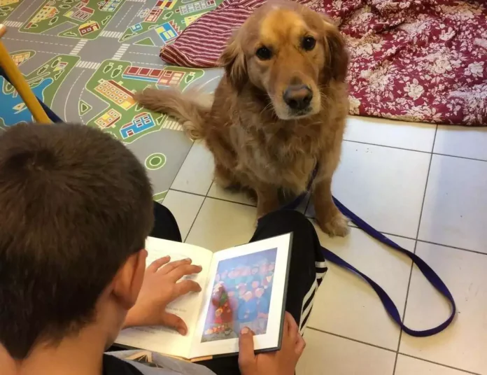 apprendre à lire avec un chien