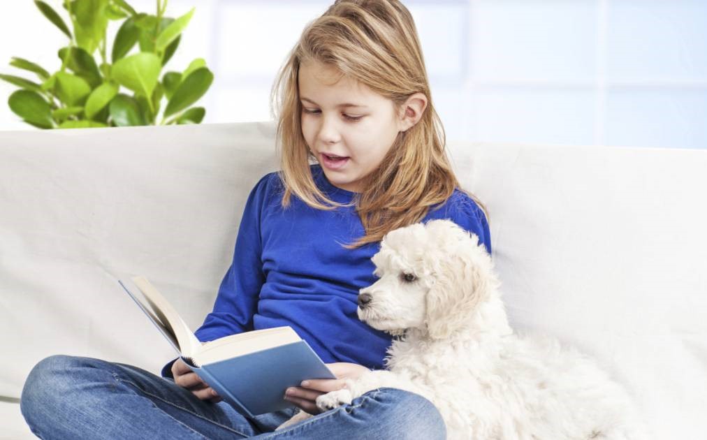 apprendre à lire avec un chien