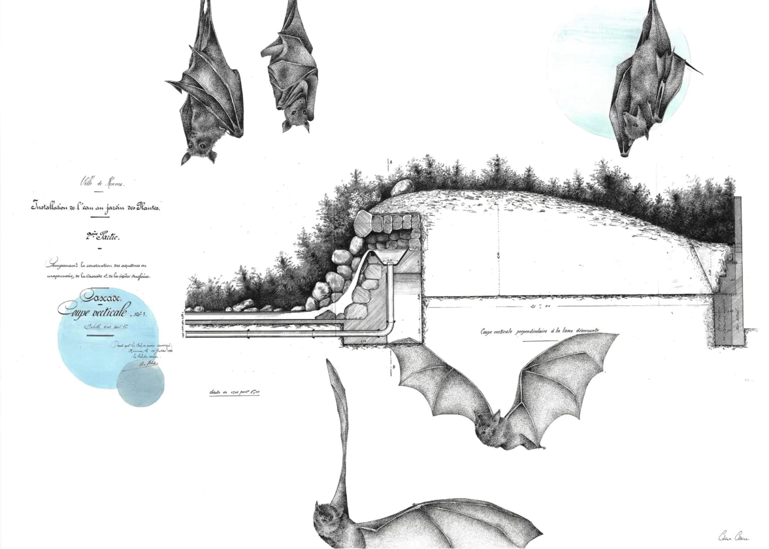 Coline Colline archives plan Thabor