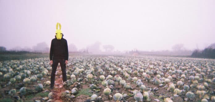 Rotofil Aude Liabeuf