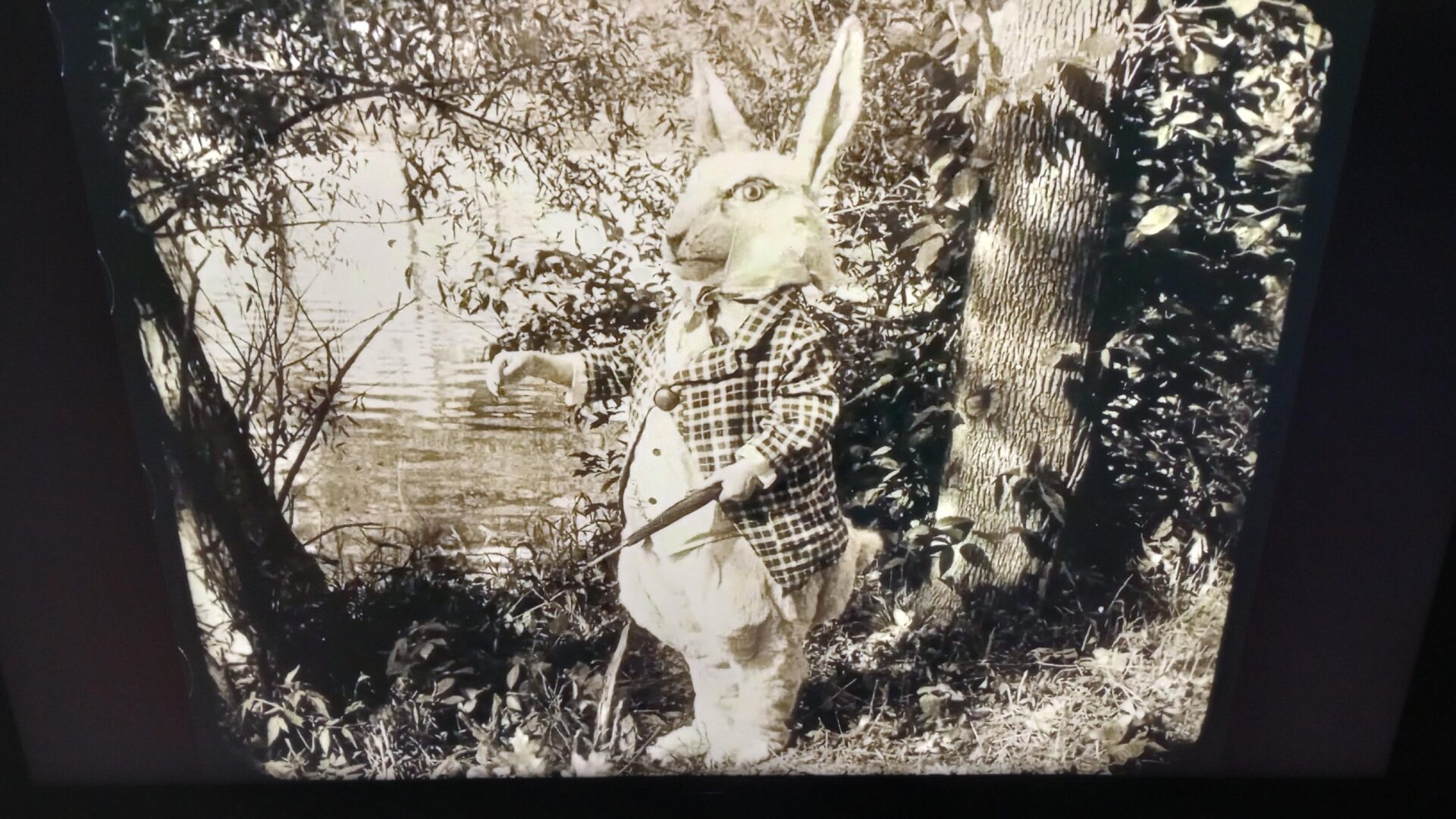 Alice in wonderland ciné-concert Transversales Clair obscur 