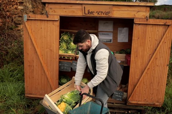 baraque libre service légumes