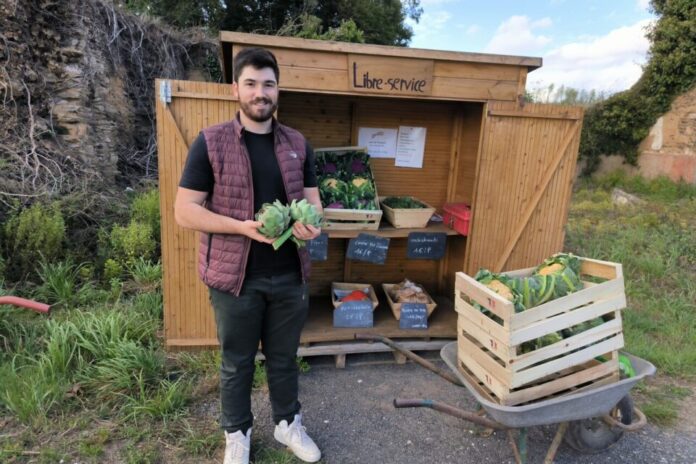 baraque libre service légumes