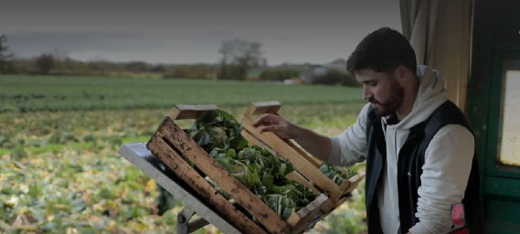 baraque libre service légumes 