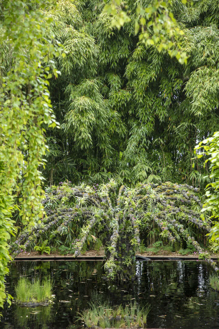 Festival International des Jardins