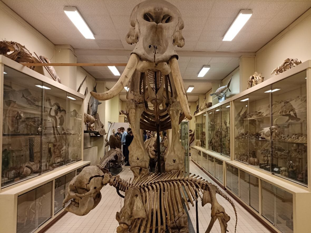 trésor naturaliste livre rennes