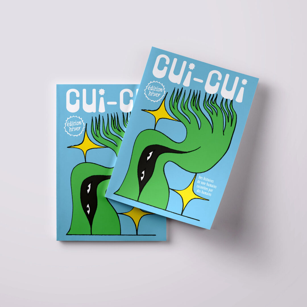 cui cui fanzine 