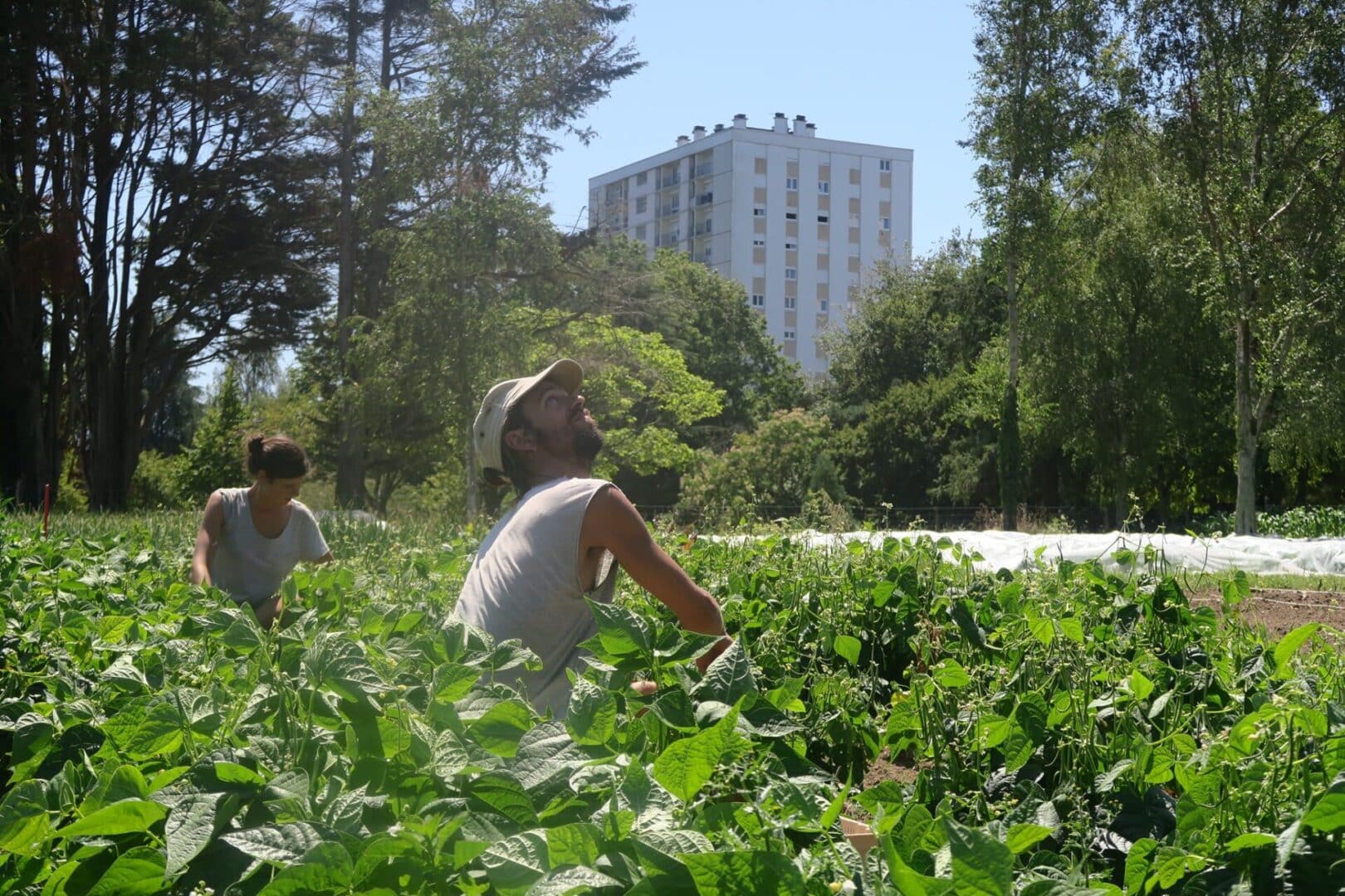 ESS -Optim'ism Lorient