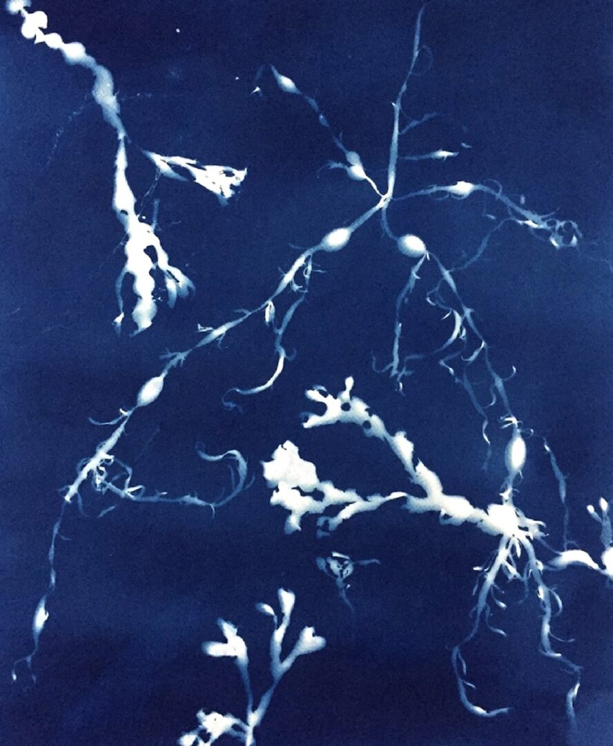 expo Valérie Windeck