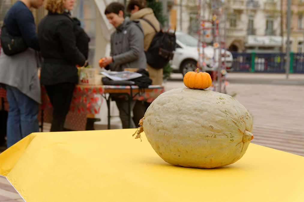 gaspillage alimentaire