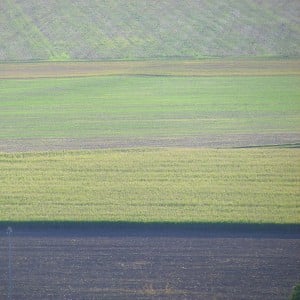 Il y aura quelque chose à manger ronan mancec