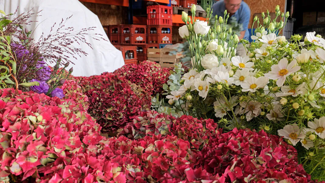 joyeuses fleurs rennes