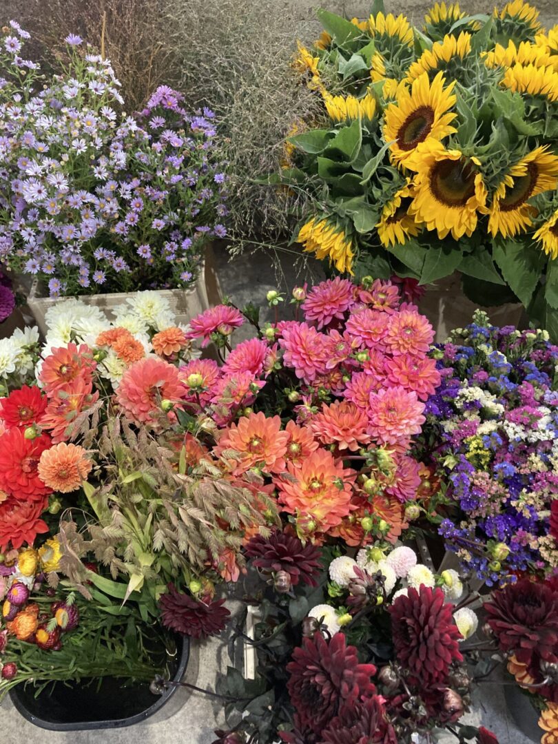 joyeuses fleurs rennes